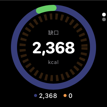 Apple Watch 能量缺口